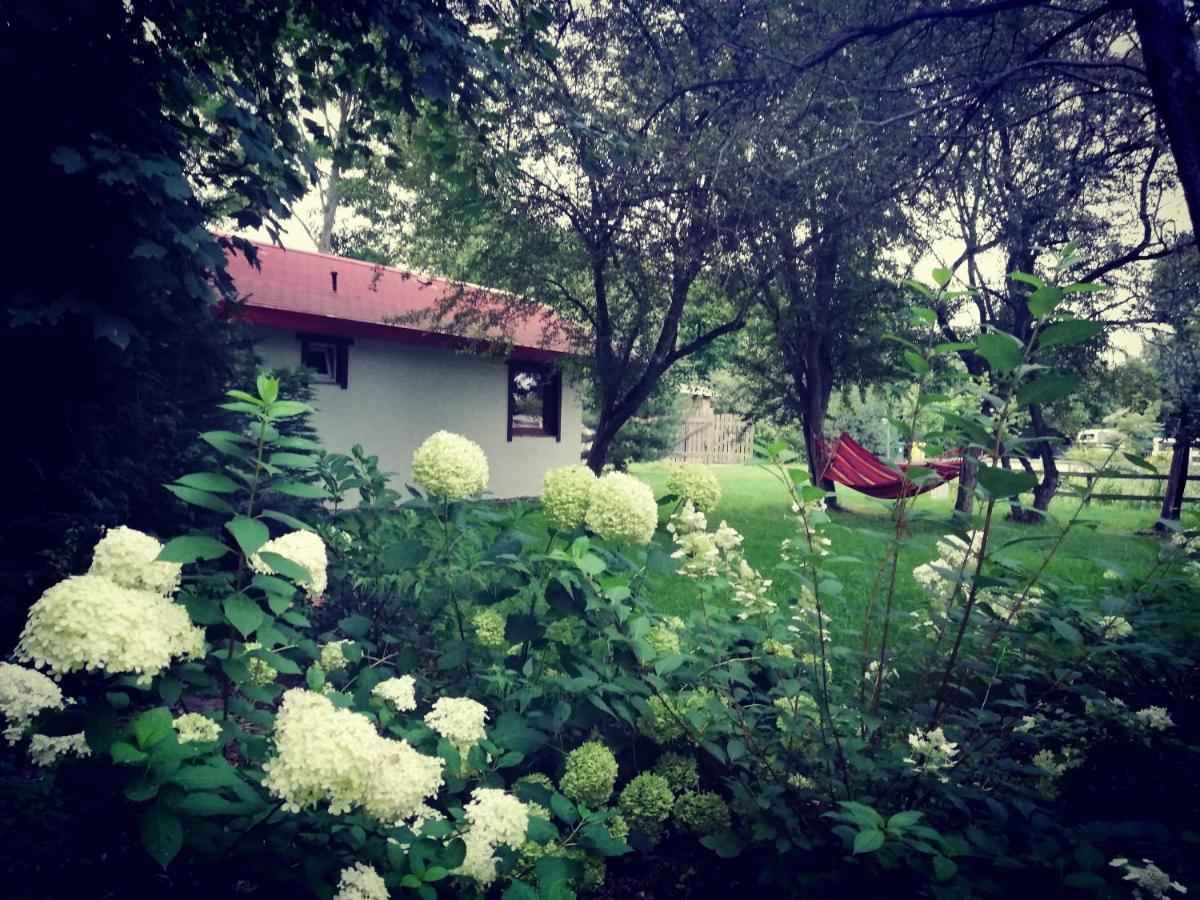 Villa Babie Lato Wlodarka Esterno foto