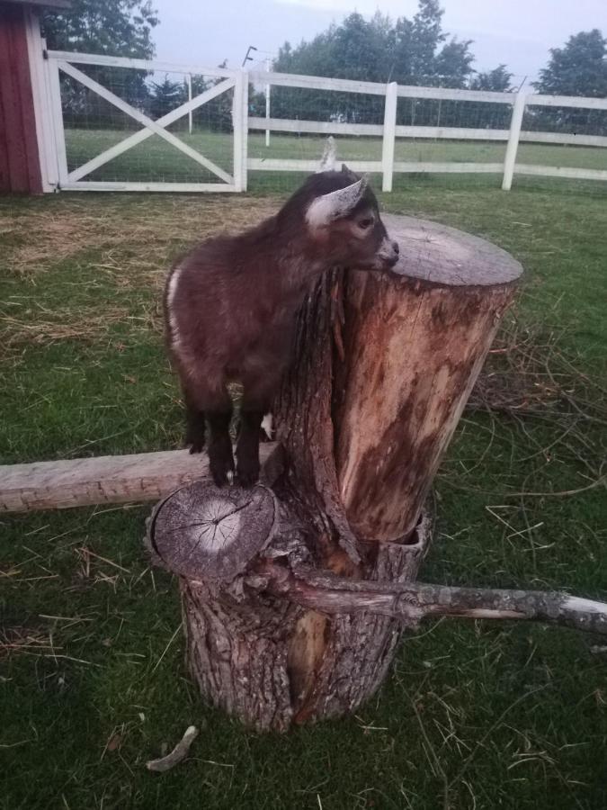 Villa Babie Lato Wlodarka Esterno foto