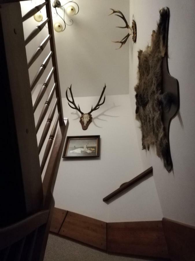 Villa Babie Lato Wlodarka Esterno foto