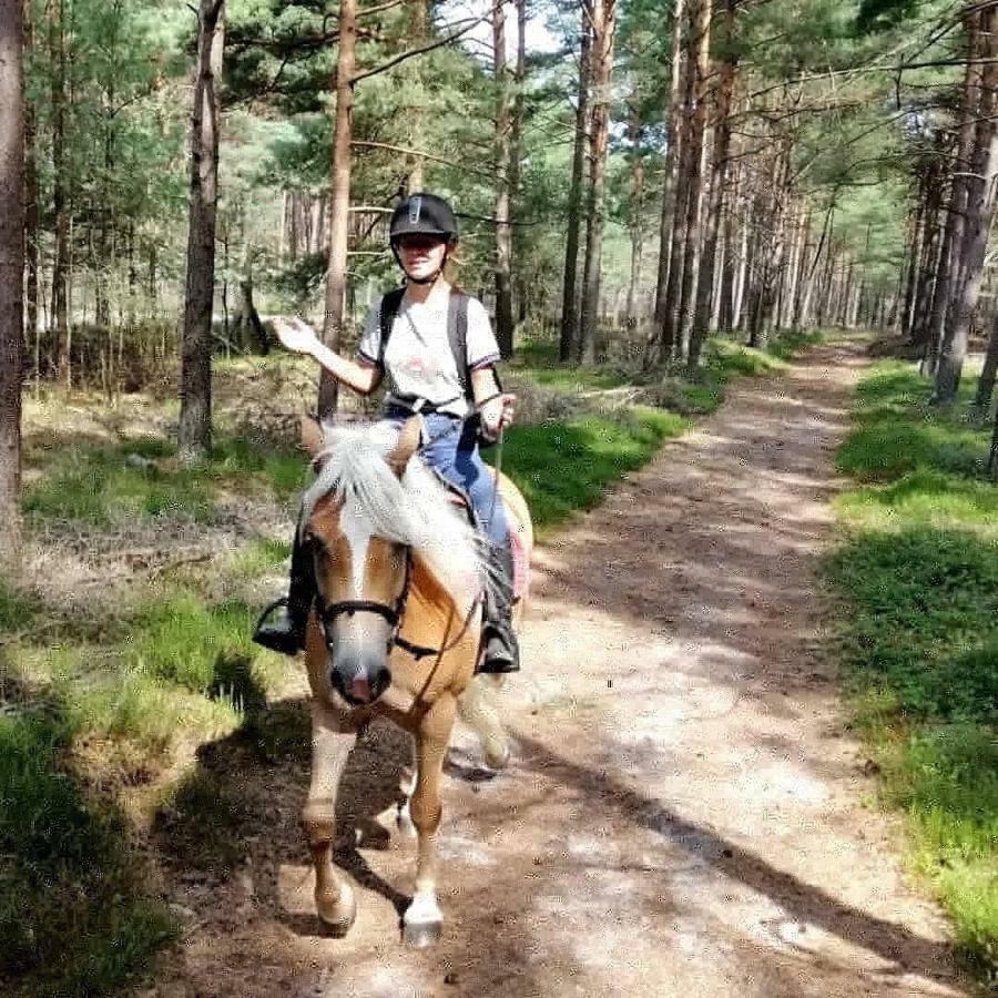 Villa Babie Lato Wlodarka Esterno foto